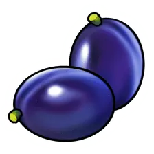 Prună